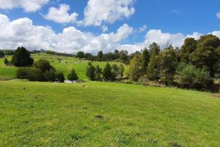 Valley Farm Stay - Knysna - 1