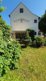 Gasthof Grüner Baum - Kirchberg am Wechsel - 2