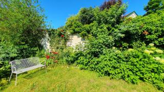 Gasthof Grüner Baum - 1