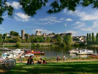 Bel appart Bd Foch - Angers - 2