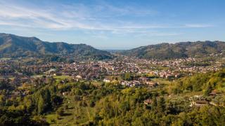 Villa Birdsong, among the Woods in Camaiore - Camaiore - 6