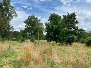 Zen Experience including Yoga & Healthy food - Ladern-sur-Lauquet - 2