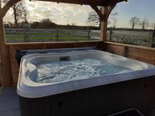 Green View Lodges - Wigton - 8