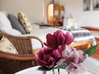 Bydand B&B - Addo - 2