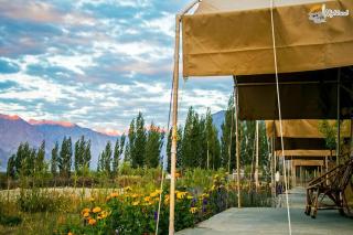 Highland Desert Camp - Leh - 9