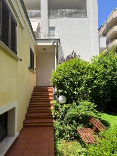 Fico bianco - 1