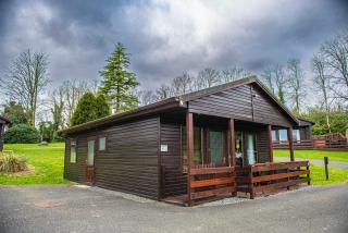 Birch Lodge 16 - Newton Stewart - 5