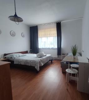 Agrogospodarstwo HALINA ŁUC - Sasino - 6