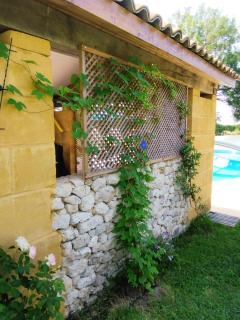 Gite Eynardou - Naussannes - 7