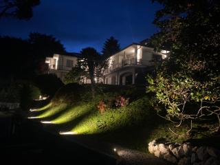 i FAGGI ROSSI - RED BEECH TREES - 9