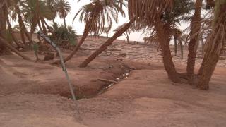 Erg Chigaga Camp Tours - El Gouera - 4