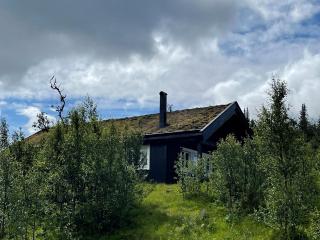 Linnaeus - 6 person cabin - Ål - 7