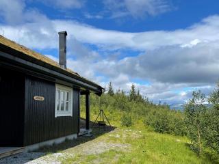 Linnaeus - 6 person cabin - Ål - 8