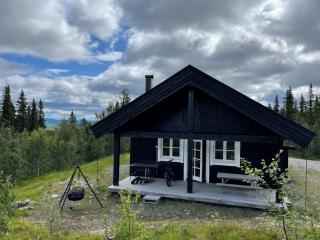 Linnaeus - 6 person cabin - Ål - 6