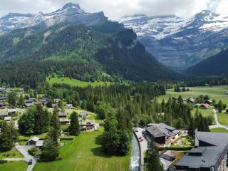 Hôtel Les Sources - Les Diablerets - 7