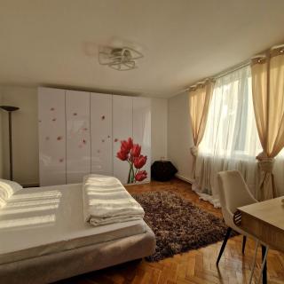 Vila Gruia - Cluj-Napoca - 3