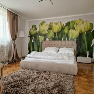 Vila Gruia - Cluj-Napoca - 9