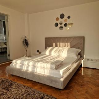 Vila Gruia - Cluj-Napoca - 4