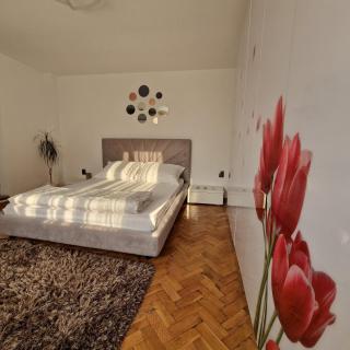 Vila Gruia - Cluj-Napoca - 6