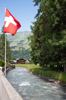 Hôtel Les Sources - Les Diablerets - 6
