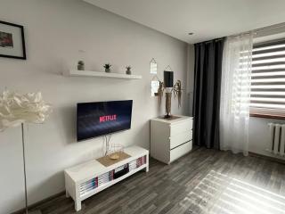 Apartament Gospodarcza - Sosnowiec - 8