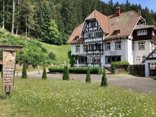 Hotel B&B Steinasäge - Bonndorf im Schwarzwald - 8
