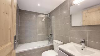 Grand Cerf 57 58 - Saint-Jean-dʼAulps - 1