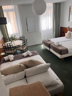 Azurene Royal Hotel - Cannes - 9