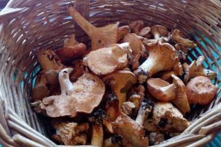 Acogedor estudio en Vilamós, Lleida - 6