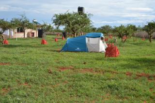 Wild Amboseli Ndovu Cottage. - Amboseli - 1
