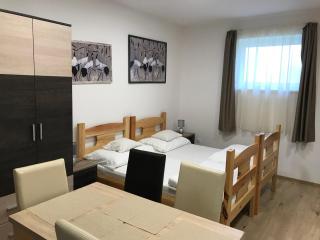 Tó-Party Apartman - 4