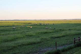Baie du Mont Saint Michel / Gîte de la Vaquerie - 3
