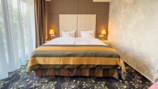 Hotel Tolea - Târgovişte - 4