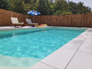 Holiday home with private pool ''Lux Banja Luka'' - Banja Luka - 3