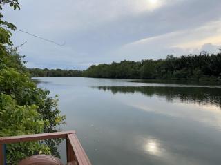 Sungai endau bilik homestay - Kuala Rompin - 0