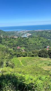 Elit Bungalov - Ardeşen - 6