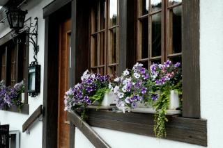 Hotel Tourist - Meiringen - 5