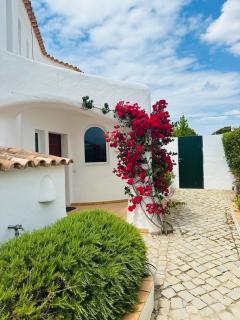 Casa di Campara Villa Faro - Faro - 3