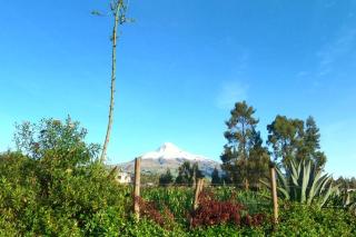 Guest house “Cotopaxi” in LLama-Cabins - - 8