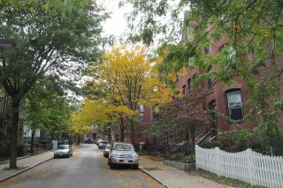 Single family Home ONLY long term booking of 28 days or longer - Boston - 5