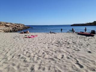 Appartement résidentiel avec jardin et piscine - 4