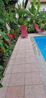 APARTMAN MURKO S-1 -  - 6