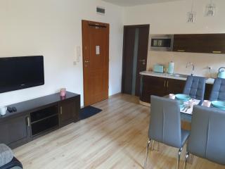 Apartament 41 w Willi Józefina, parking w cenie! MBnoclegi - Szklarska Poręba - 4
