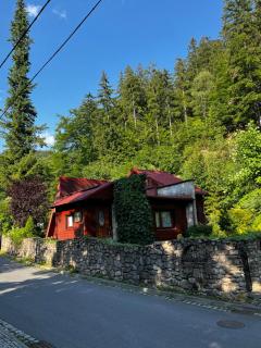 Domek nad potokiem - Miedzygorze - 3