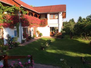 Ida Rooms - Lajosmizse - 3