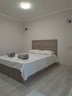 Nanayi guest house - Gyumri - 0