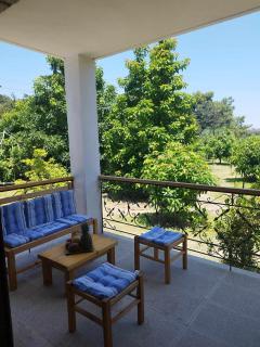 Tropical Garden Faliraki Rhodes - Faliraki - 9