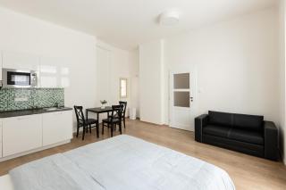 Cozy Studio in quiet courtyard near Charles Bridge - Prague - 7