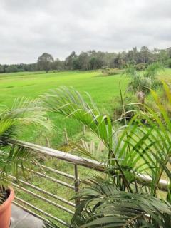 Coorg Farm Stay - Kushālnagar - 9