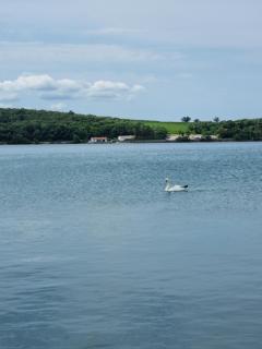 House Piccola California Sea View - Muggia - 3